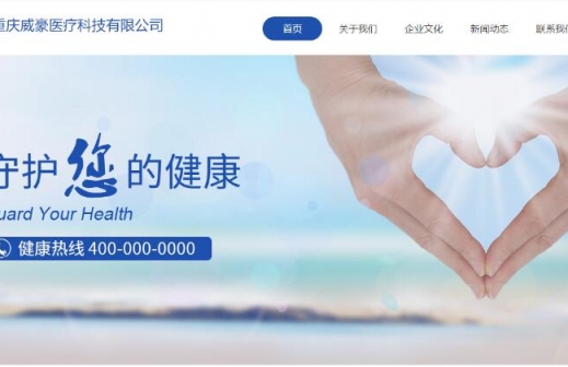 重庆威豪医疗科技有限公司