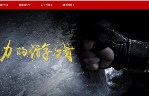重庆隆冬体育发展有限公司