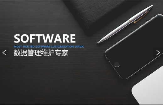 重庆宗申软件发展有限公司